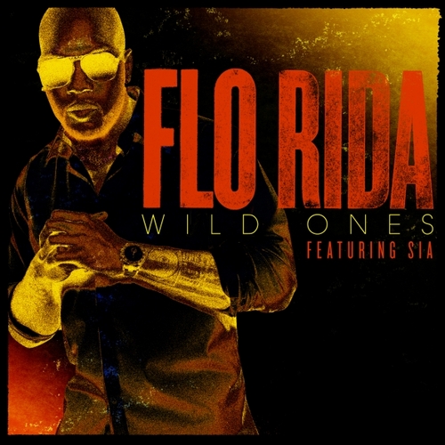Flo Rida-Wild Ones
