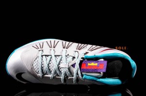 inthestreets- lebron 6